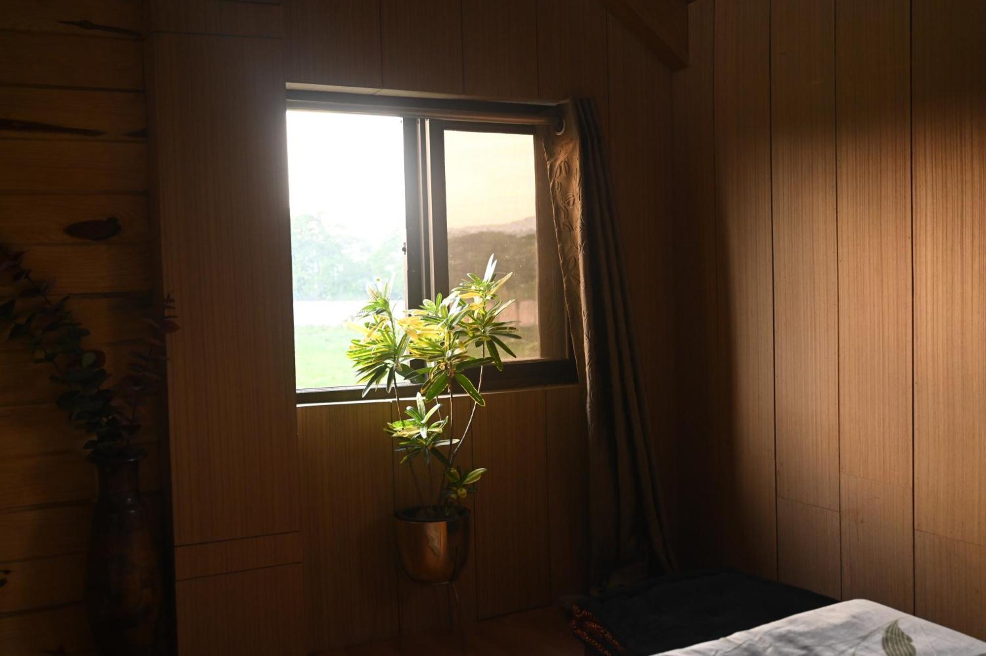 Bed and Breakfast The Cabin By The Bayou Гувахати Экстерьер фото